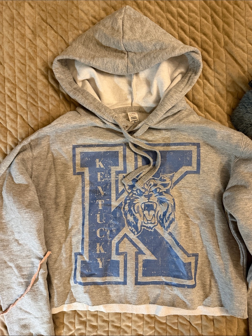 Gray Kentucky Graphic Cropped Hoodie Sweatshirt